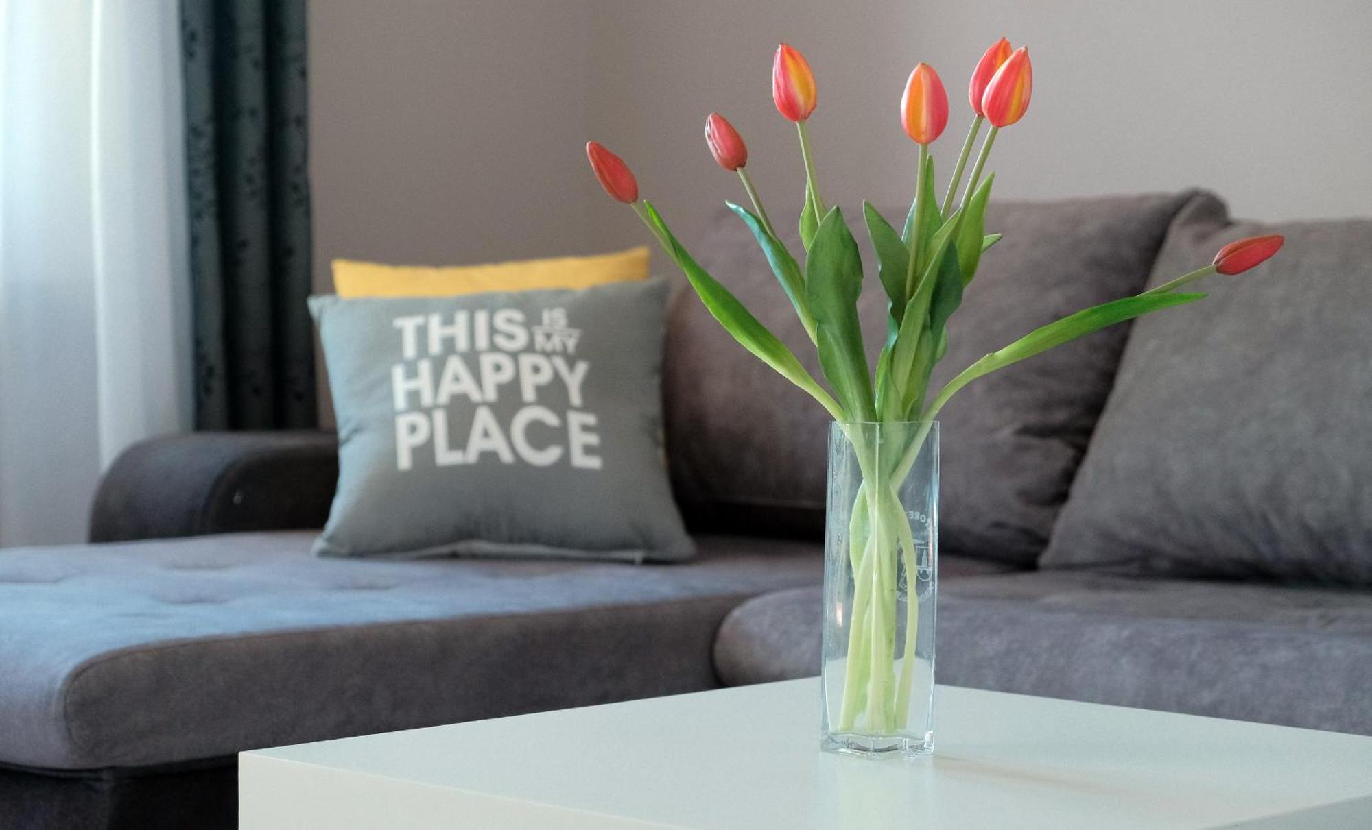Apartmani Donata Rijeka Ruang foto